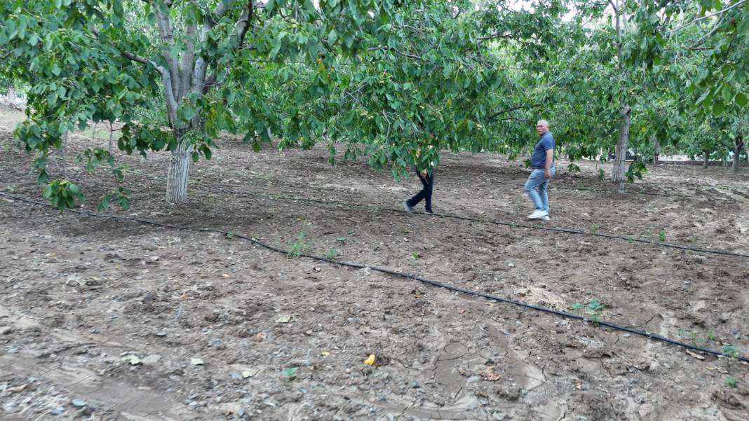 Dalından inmeden alıcı buluyor: Rekor talep görecek 4